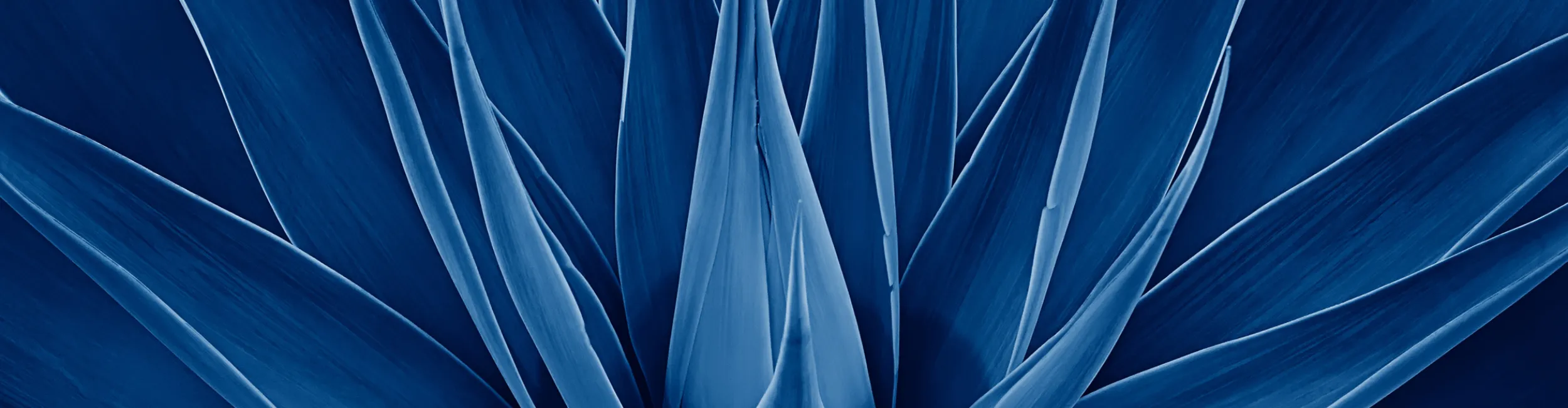 Memorial background